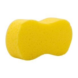 Sponge