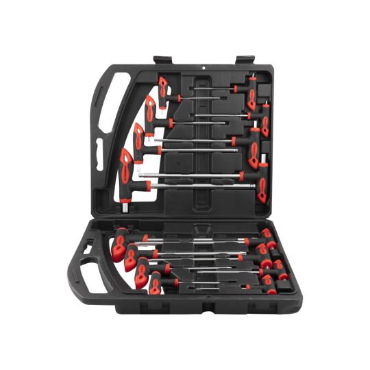 Allen key set HEX and Torx 16-piece