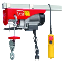 Electric hoist 125/250 kg TOPGEAR