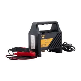 Battery charger 12 volts